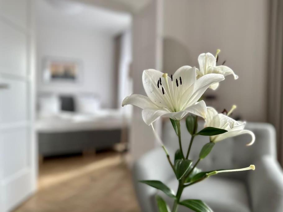 Premium Apartment By Hi - Central 2 Bedroom - Best View Budapest Esterno foto
